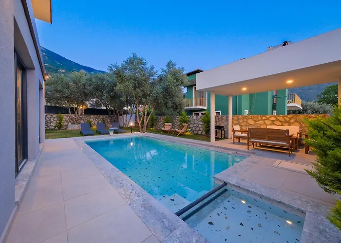 Note 6 * 费特希耶